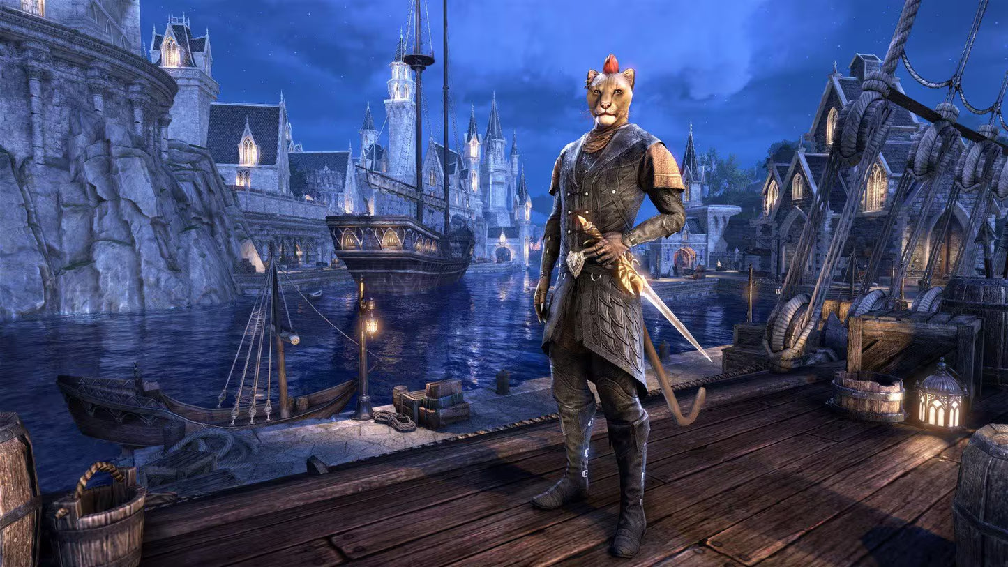 THE ELDER SCROLLS : ONLINE SUMMERSET~ Factory Sealed Import