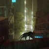 Stray~ Factory Sealed w/art cards