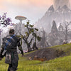 THE ELDER SCROLLS ONLINE : TAMRIEL UNLIMITED ~ Import~ Factory Sealed