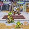 Teenage Mutant Ninja Turtles: Shredders Revenge~ Factory Sealed Import