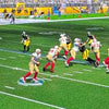 ESPN NFL 2K5~ Pre-Owned PS2