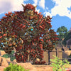 Knack II ~ Pre-Owned PS4